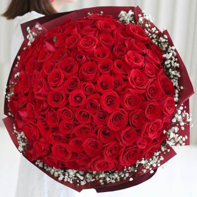 浪漫火花 - 99枝卡罗拉红玫瑰