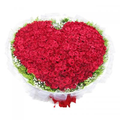 唯一爱你 - 520朵卡罗拉红玫瑰