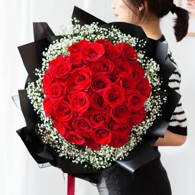一生只爱一人 - 33枝卡罗拉红玫瑰